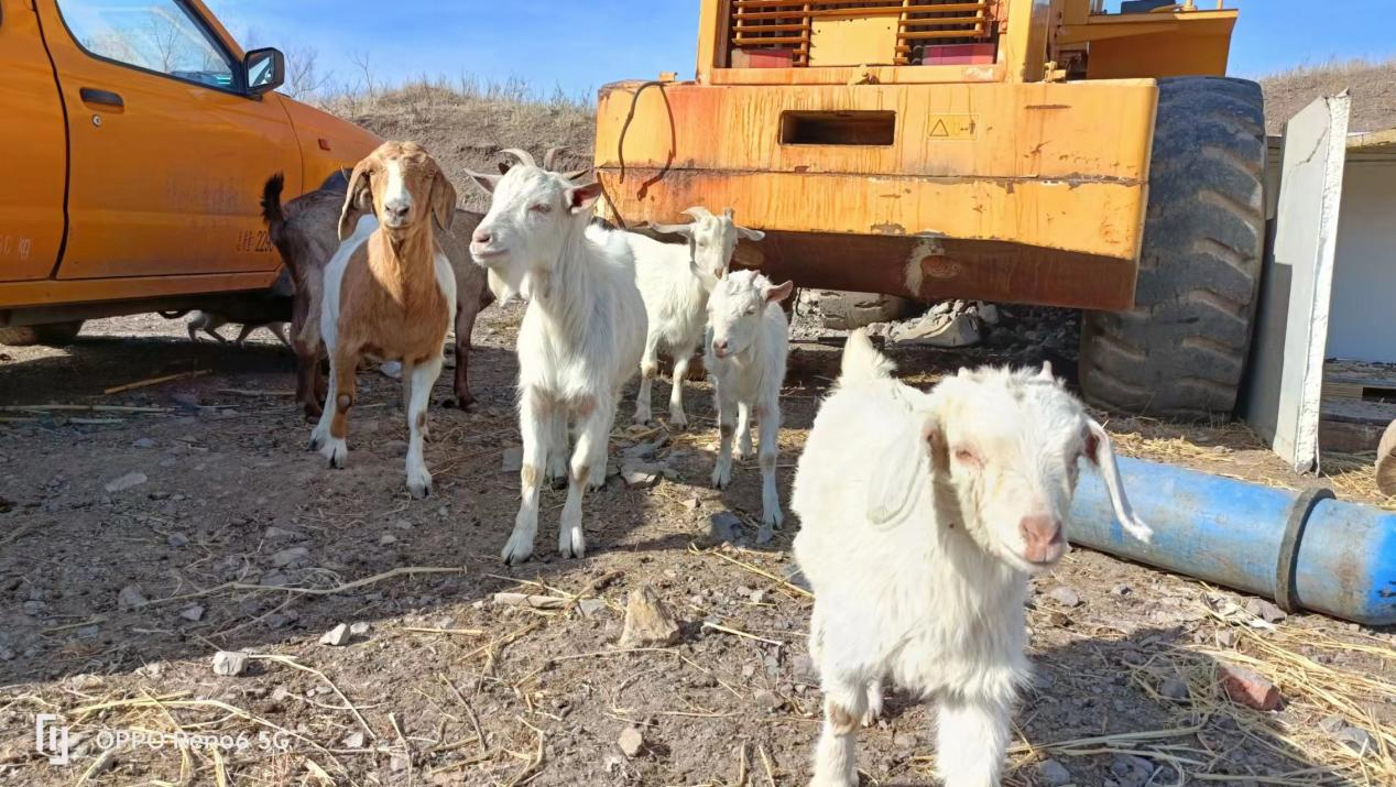 ""